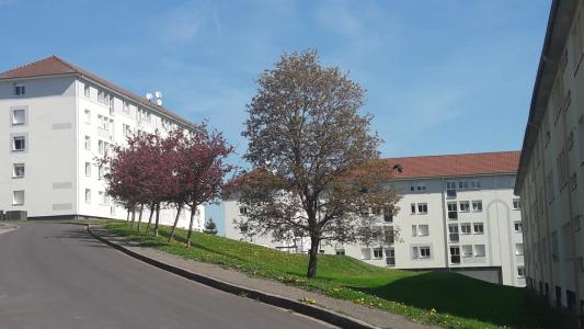 Location Appartement 3 pices MIRECOURT 88500