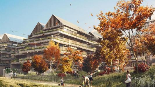 Location Appartement 2 pices RICHE 37520