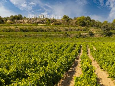 Vente Terrain VACQUEYRAS 84190