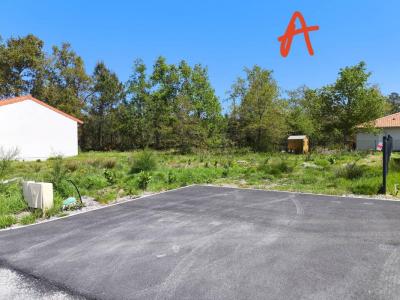 Vente Maison LABOUHEYRE 40210