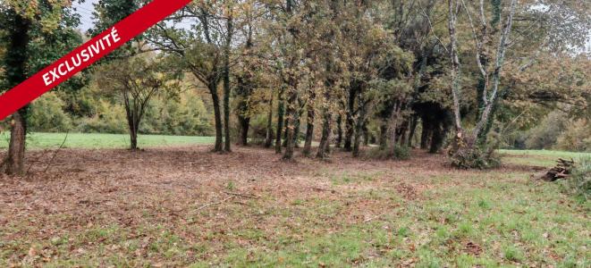 Vente Terrain CHAPELLE-DES-POTS 17100