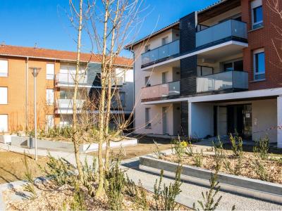 Location Appartement 2 pices SAINT-JEAN 31240