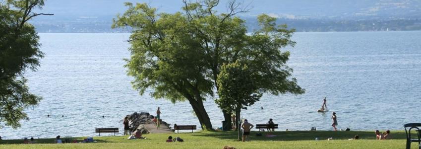 Vente Appartement 3 pices MESSERY 74140