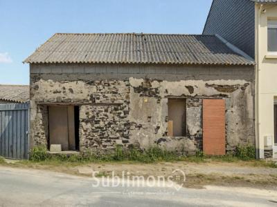 Vente Maison 2 pices ROCHE-BLANCHE 44522