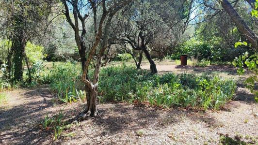 Vente Terrain NIMES 30000