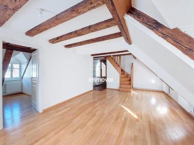 Location Appartement 2 pices STRASBOURG 67000