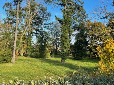 Vente Terrain SOLTERRE 45700