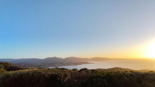 Vente Terrain OLMETO 20113