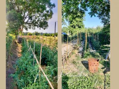 Vente Maison 9 pices LAURIS 84360