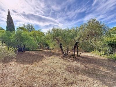 Vente Terrain CARCES 83570