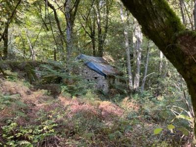 Vente Prestige CHAUMEIL 19390