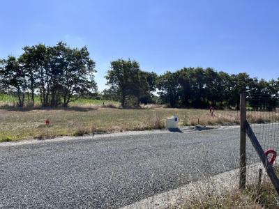 Vente Terrain LOROUX-BOTTEREAU 44430