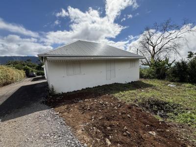 Location Maison 4 pices PLAINE-DES-PALMISTES 97431