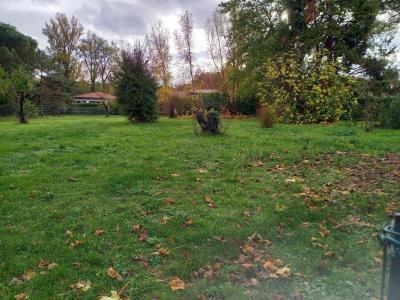 Vente Terrain SAINTE-EULALIE 33560