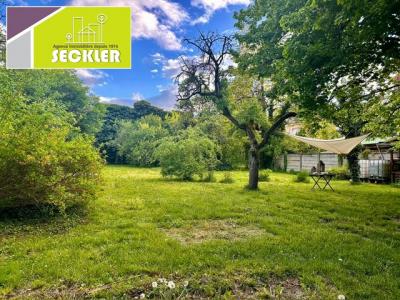 Vente Maison 5 pices COLMAR 68000