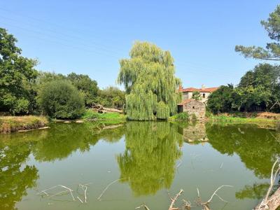 Vente Maison 7 pices CUGAND 85610