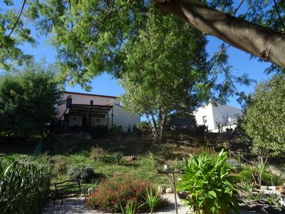 Vente Maison 4 pices CALMEILLES 66400