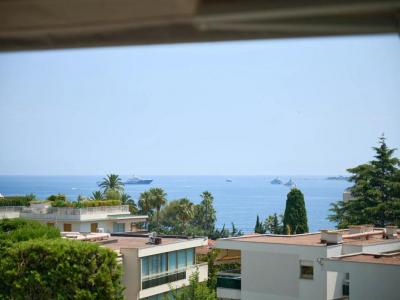 Vente Appartement 5 pices CANNES 06400