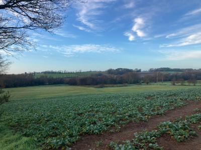 Vente Terrain PLUVIGNER 56330