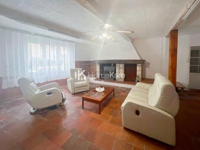 Vente Maison 15 pices ISLE-EN-DODON 31230