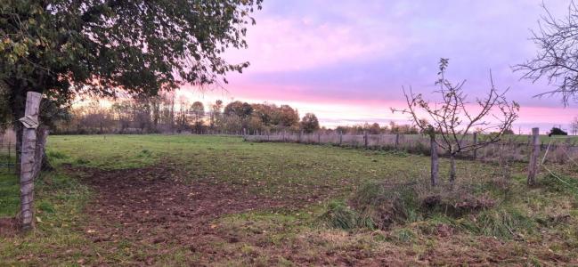 Vente Maison 9 pi�ces SAINT-DIZIER 52100