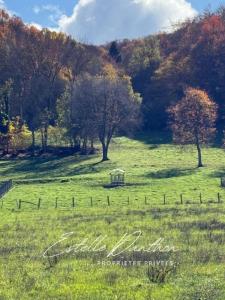 Vente Terrain LONGECHENAL 38690