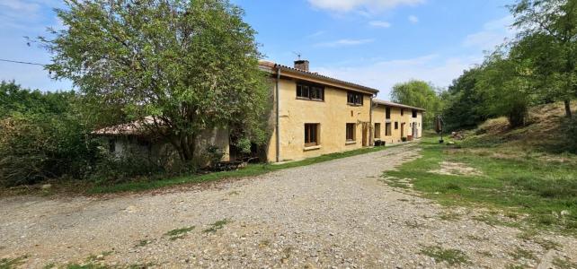 Vente Maison 8 pi�ces SAINT-MARTIN-D'OYDES 09100