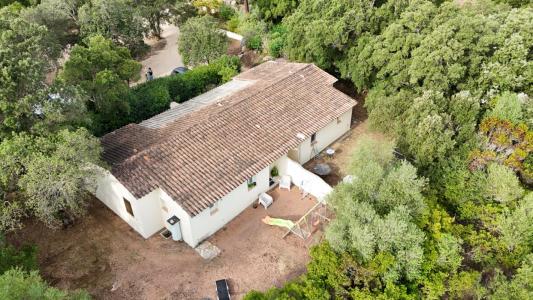 Vente Maison 6 pices SAN-GAVINO-DI-CARBINI 20170