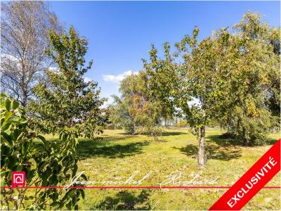 Vente Terrain BILLY 41130