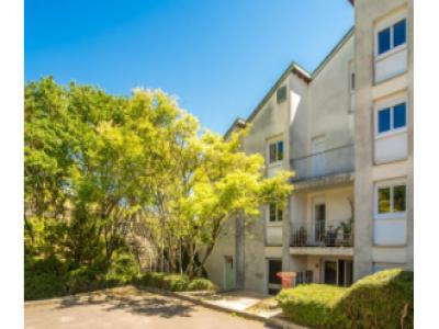 Location Appartement 3 pices CRUZILLE 71260