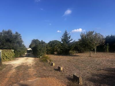 Vente Terrain SAINT-GILLES 30800