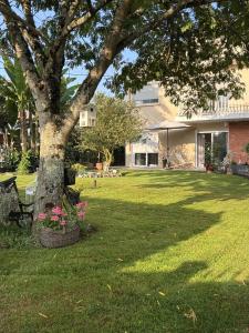 Vente Maison 8 pices BUZET-SUR-TARN 31660