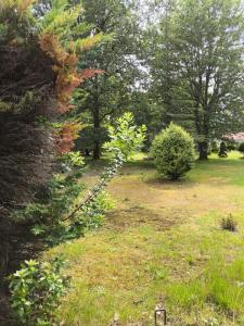 Vente Terrain PARENTIS-EN-BORN 40160