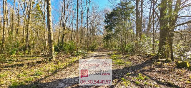 Vente Domaine forestier FERTE-SOUS-JOUARRE 77260