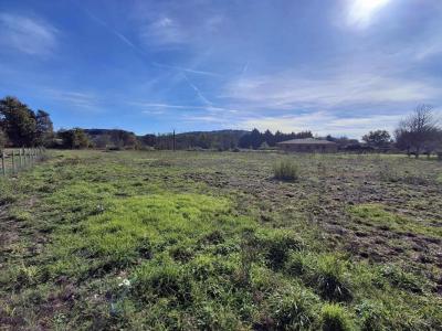 Vente Terrain MONTPEYROUX 24610