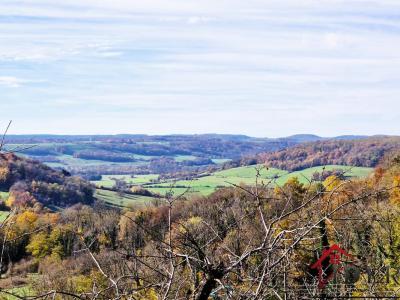 Vente Maison 3 pices COIFFY-LE-HAUT 52400