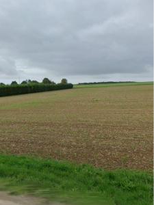 Vente Terrain ANAIS 17540