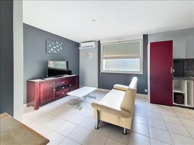 Location Appartement 3 pices CARMAUX 81400