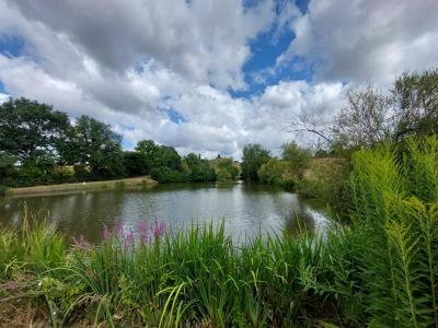 Vente Maison 5 pices GRURY 71760