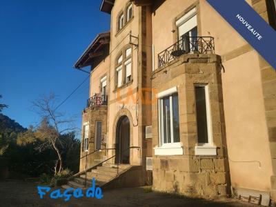 Location Appartement 3 pices AUZITS 12390