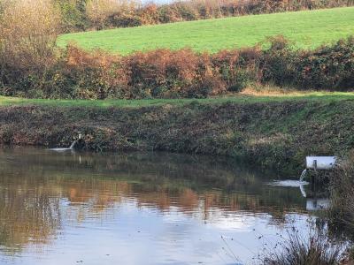 Vente Terrain VIJON 36160