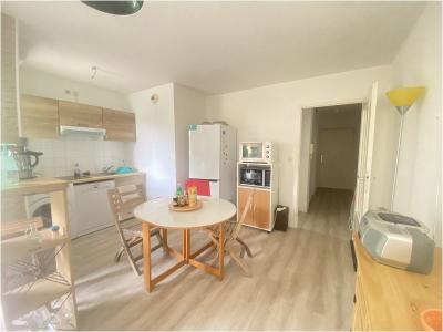 Location Appartement 3 pices TOULOUSE 31400