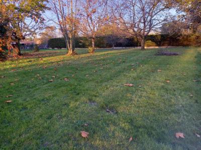 Vente Terrain SAINTE-EULALIE 33560