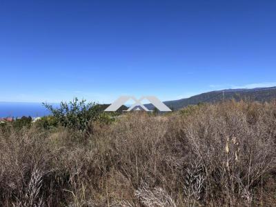 Vente Terrain PLAINE-DES-CAFRES 97418