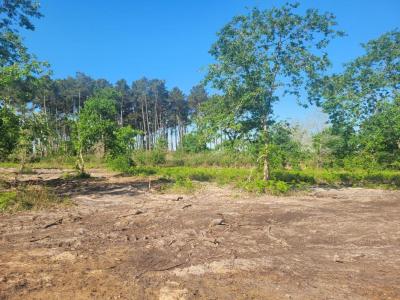 Vente Terrain SANGUINET 40460