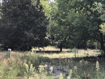 Vente Maison 4 pices BIGANOS 33380