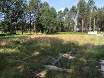 Vente Maison 5 pices LANTON 33138