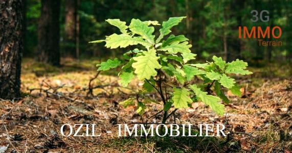 Vente Terrain EUZET 30360