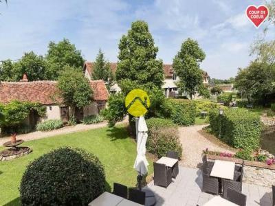 Vente Gite SANCOINS 18600