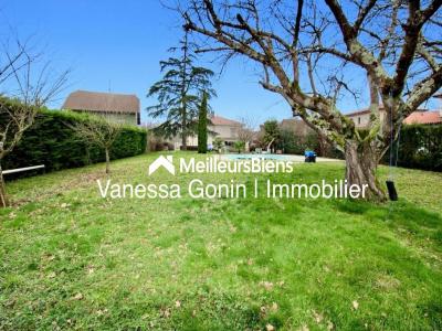 Vente Terrain TAPONAS 69220